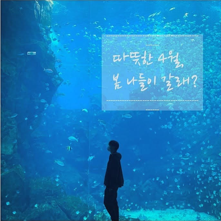 타오위안 X-park