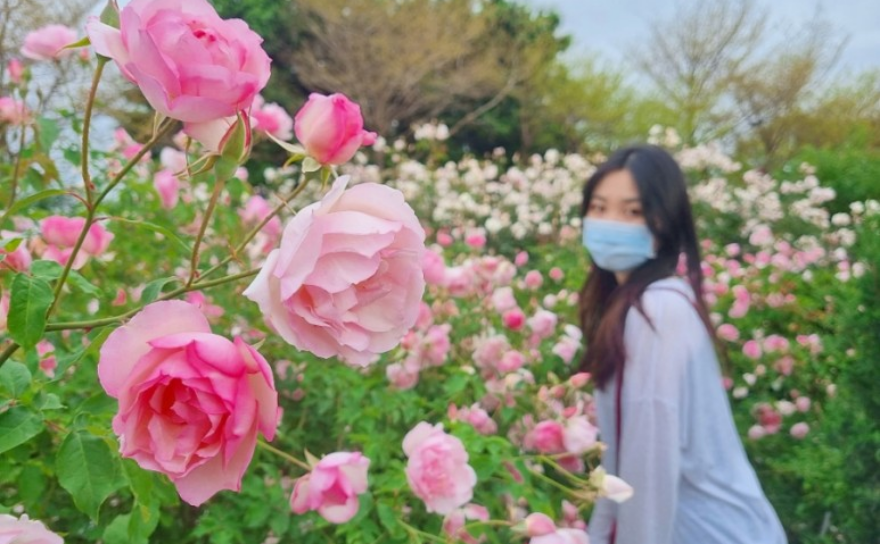 온천여행과 꽃구경 당일치기 여행